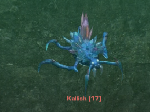 Kalish