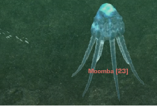 Moomba