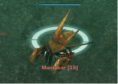 Mantakor